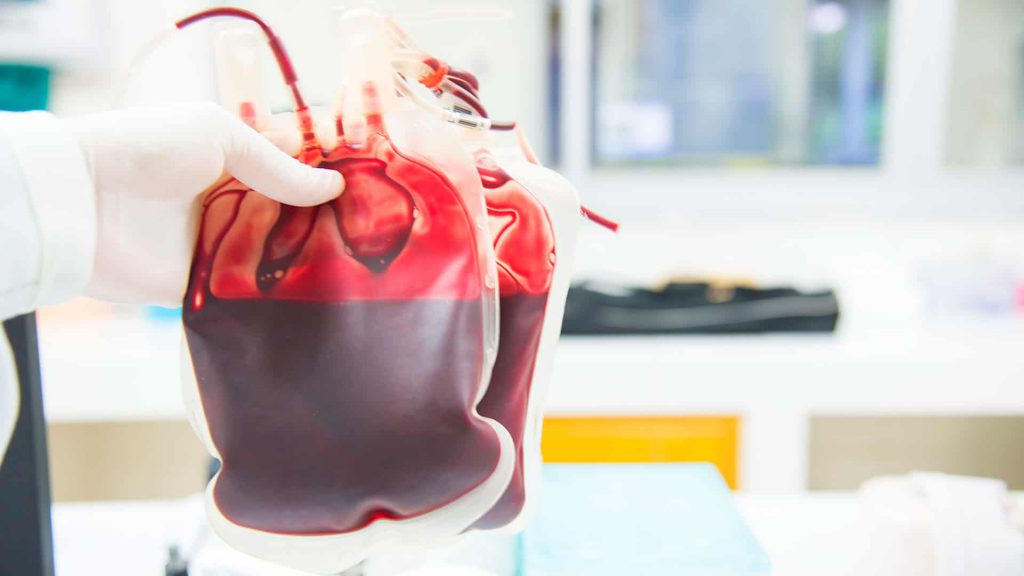 HemoCod Blood Manager – JUB Solutions